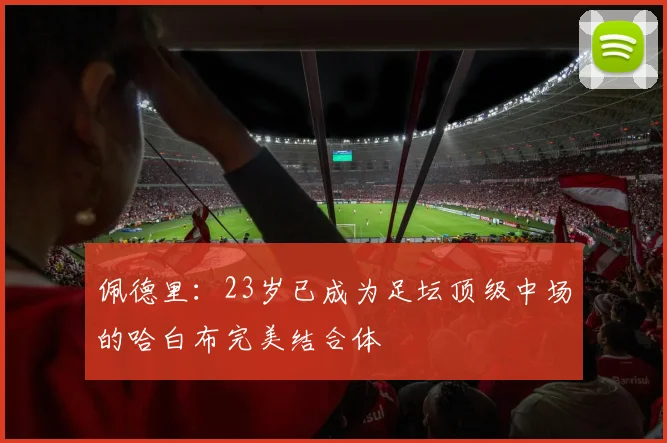 佩德里：23岁已成为足坛顶级中场的哈白布完美结合体